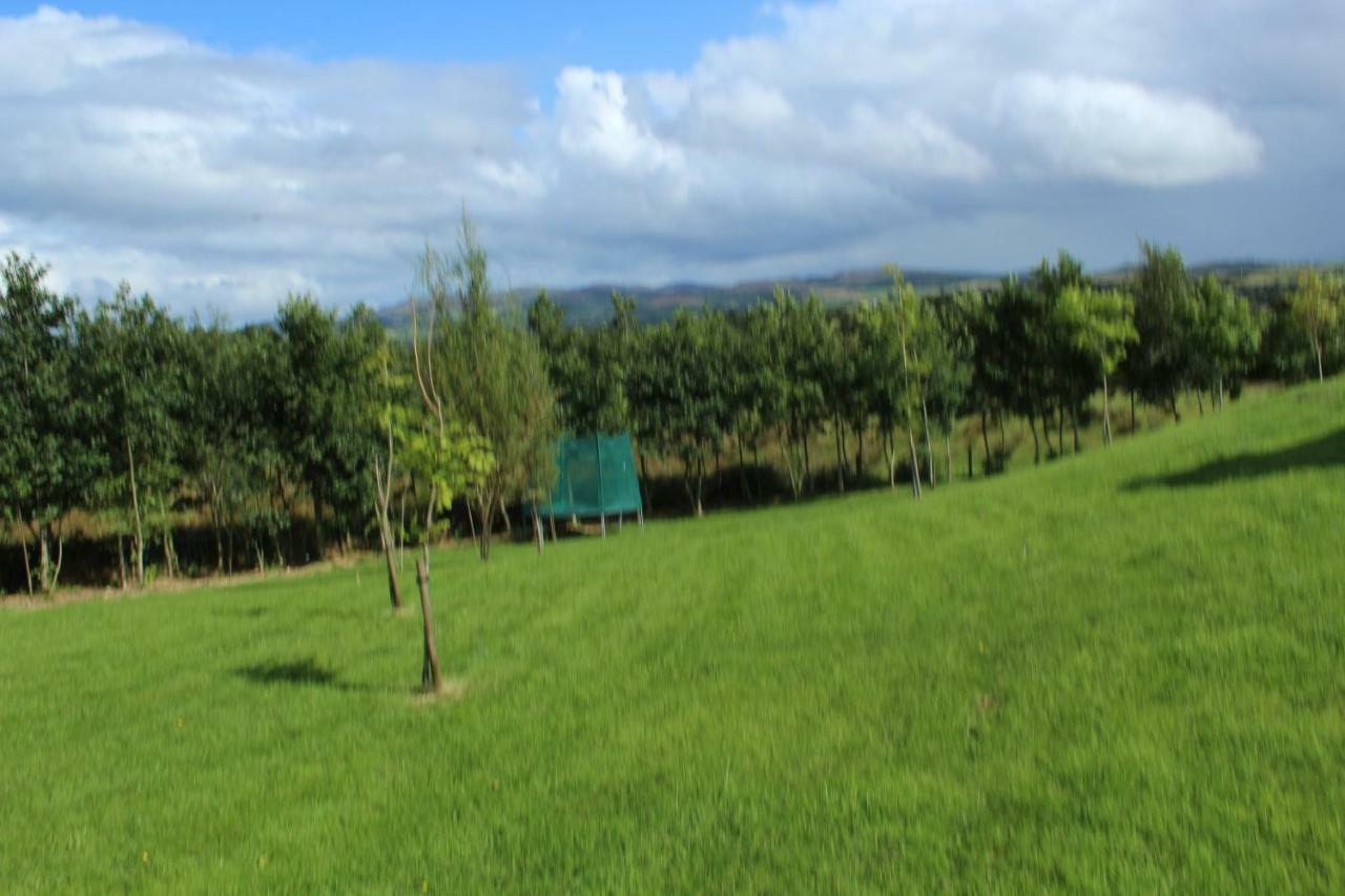 Bunlin Heights Self Catering Studio Milford Dış mekan fotoğraf
