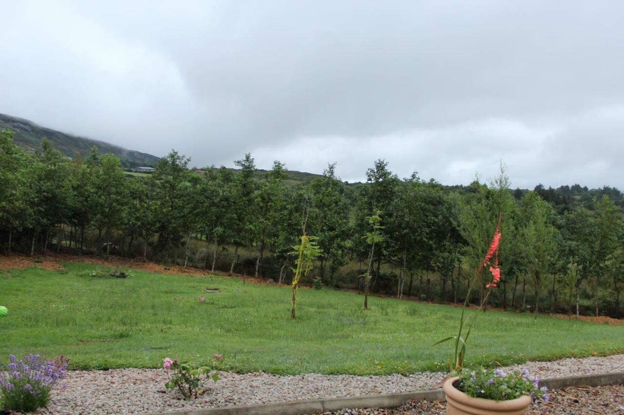 Bunlin Heights Self Catering Studio Milford Dış mekan fotoğraf